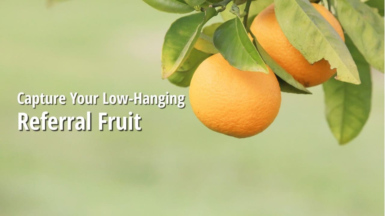 Find More Referrals: Where's Your Low Hanging Fruit?