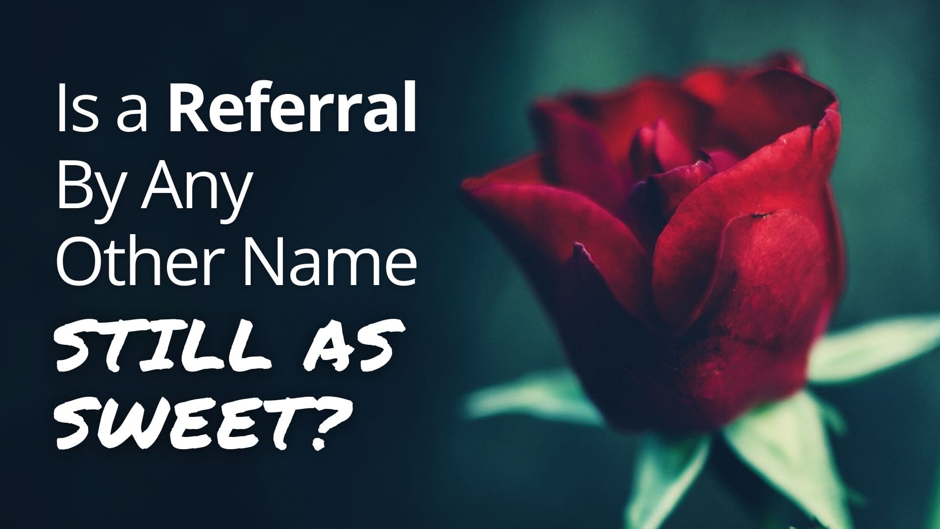 is-a-referral-by-any-other-name-still-as-sweet